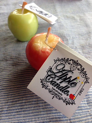 10344881_501518483283259_67263624_n