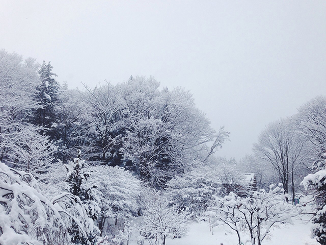 mtbook_sioribi のコピー